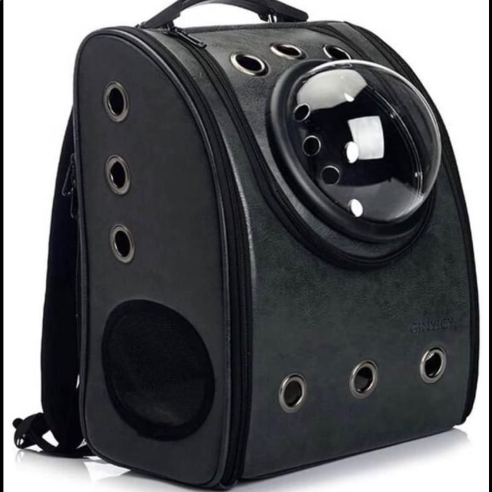 Cat Backpack